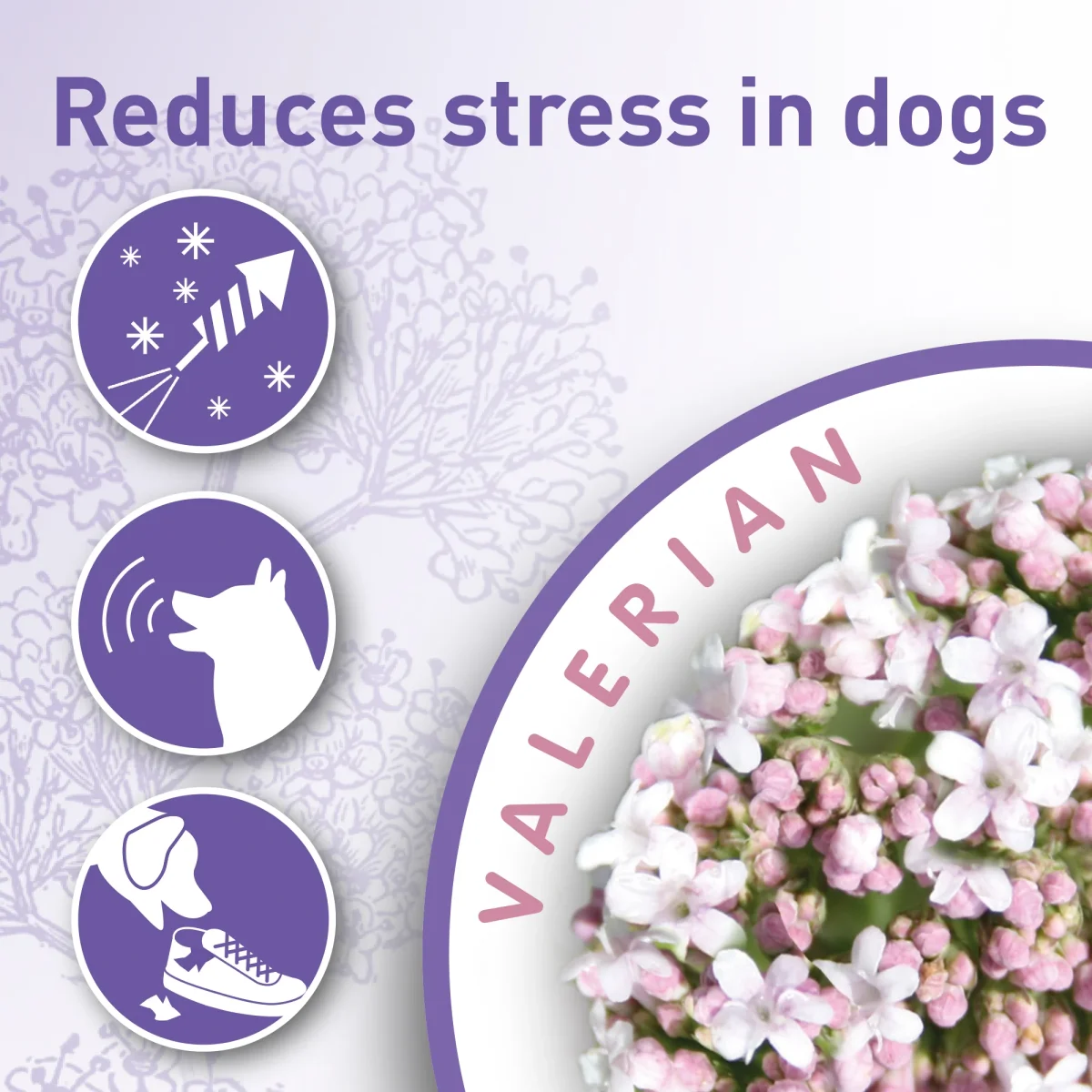 Beaphar - Calming Collar Dog 65cm - Image 5